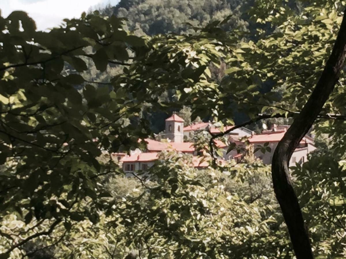 B&B Il Ghiro Castiglioni  Экстерьер фото