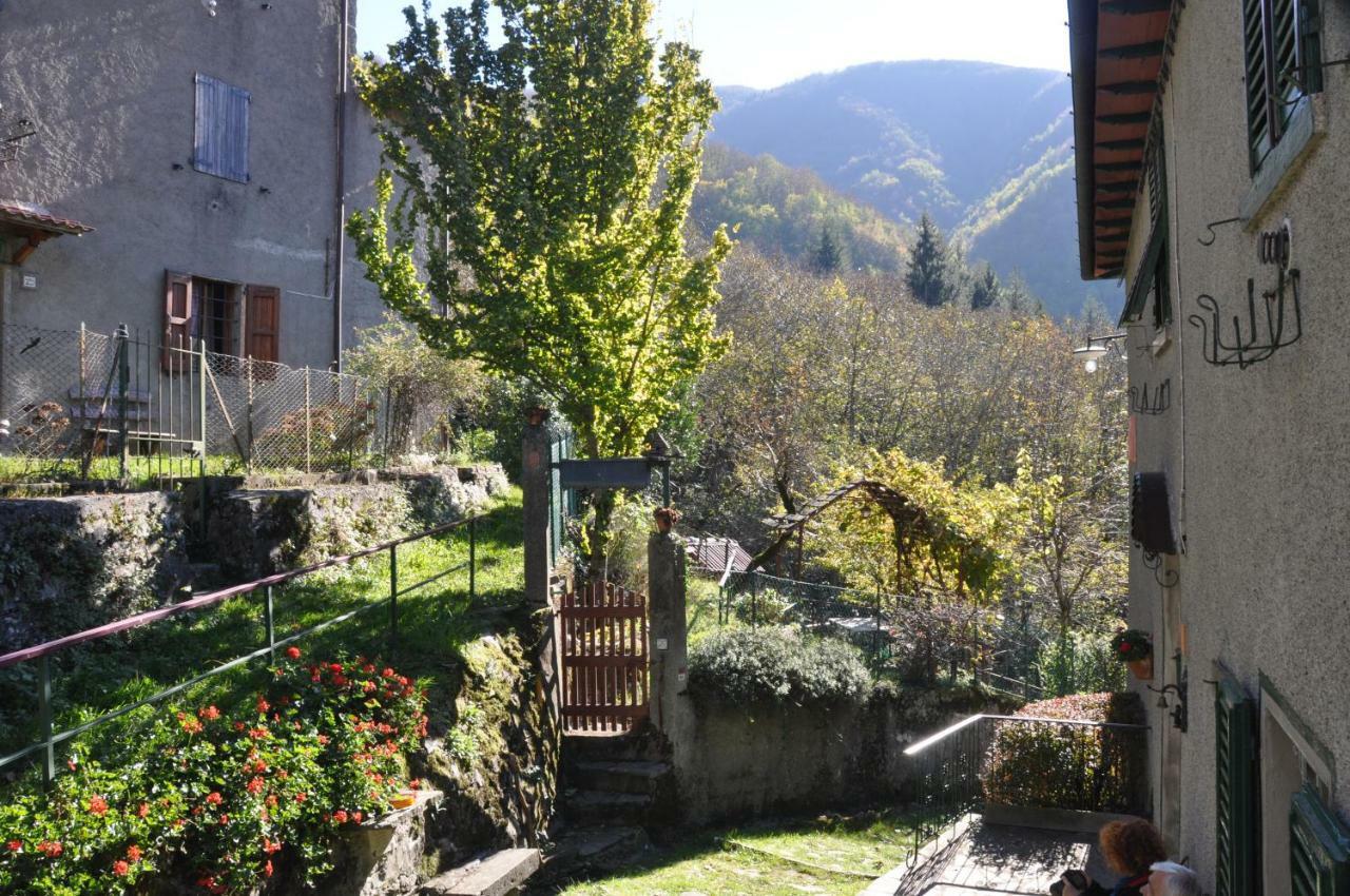 B&B Il Ghiro Castiglioni  Экстерьер фото