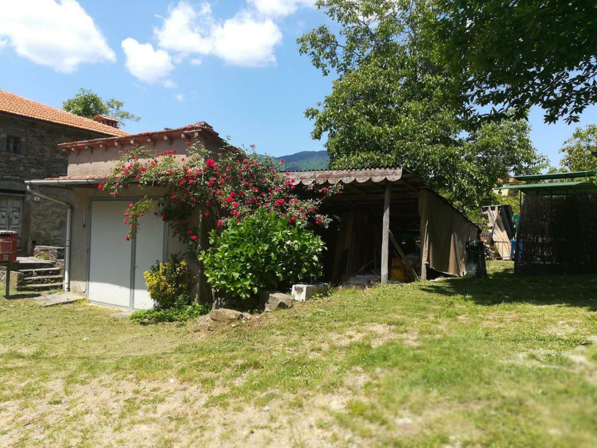 B&B Il Ghiro Castiglioni  Экстерьер фото